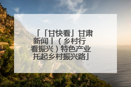 「甘快看」甘肃新闻丨（乡村行 看振兴）特色产业托起乡村振兴路