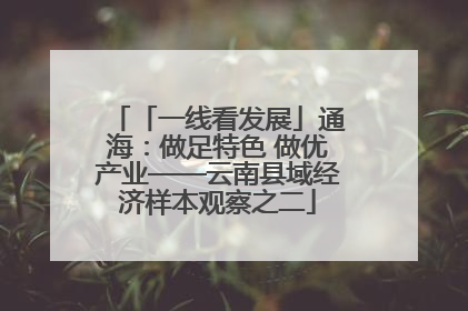 「一线看发展」通海：做足特色 做优产业——云南县域经济样本观察之二