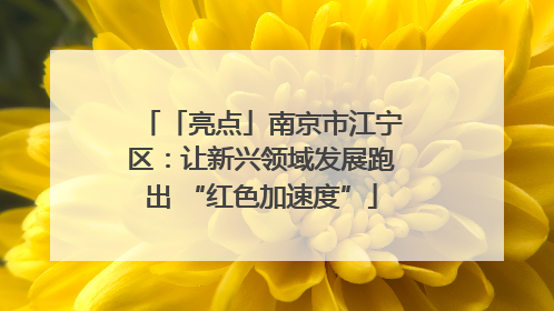 「亮点」南京市江宁区：让新兴领域发展跑出 “红色加速度”