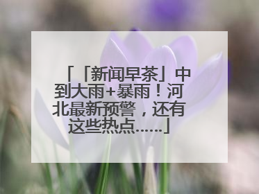 「新闻早茶」中到大雨+暴雨！河北最新预警，还有这些热点……