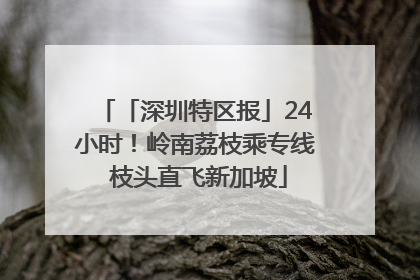「深圳特区报」24小时！岭南荔枝乘专线 枝头直飞新加坡