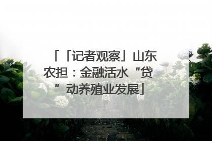 「记者观察」山东农担：金融活水“贷”动养殖业发展