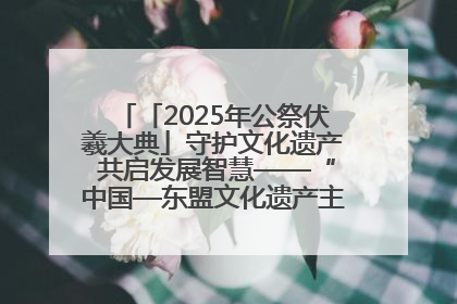 「2025年公祭伏羲大典」守护文化遗产 共启发展智慧——“中国—东盟文化遗产主题对话”侧记