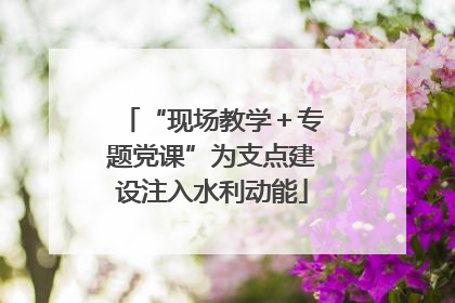 “现场教学＋专题党课”为支点建设注入水利动能