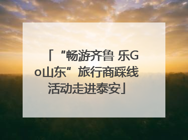 “畅游齐鲁 乐Go山东”旅行商踩线活动走进泰安