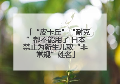 “皮卡丘”“耐克”都不能用了 日本禁止为新生儿取“非常规”姓名