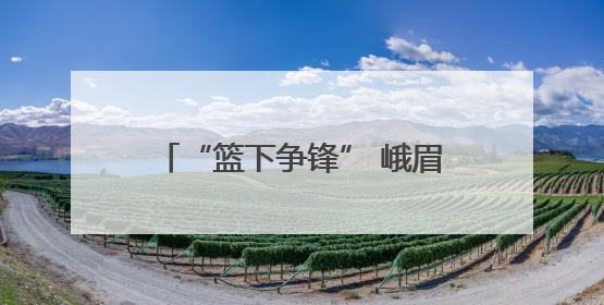 “篮下争锋” 峨眉实小篮球队参加市中小学生篮球比赛获佳绩
