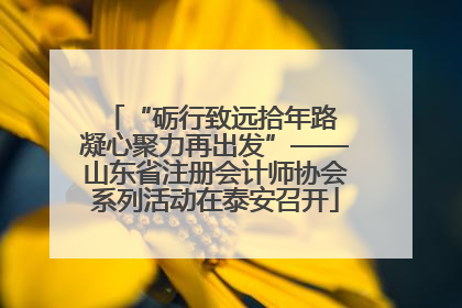 “砺行致远拾年路 凝心聚力再出发”——山东省注册会计师协会系列活动在泰安召开