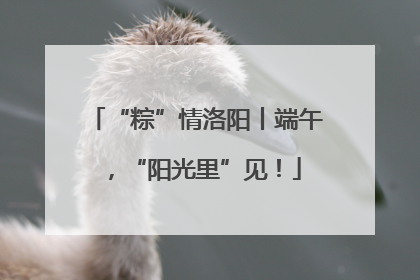 “粽”情洛阳丨端午，“阳光里”见！