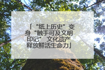 “纸上历史”变身“触手可及文明印记” 文化遗产释放鲜活生命力