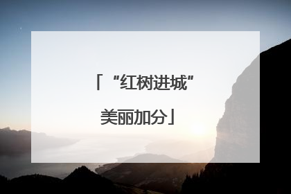 “红树进城” 美丽加分