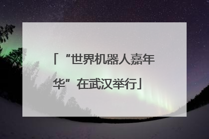 “世界机器人嘉年华”在武汉举行
