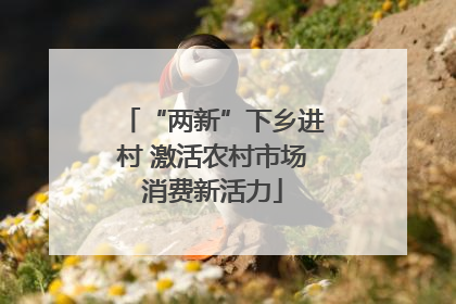 “两新”下乡进村 激活农村市场消费新活力