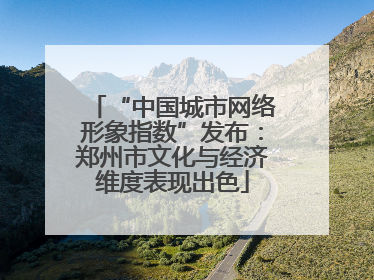 “中国城市网络形象指数”发布：郑州市文化与经济维度表现出色