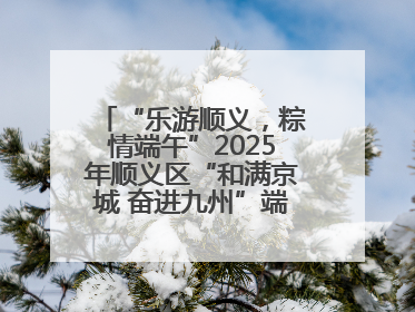 “乐游顺义，粽情端午”2025年顺义区“和满京城 奋进九州”端午主题活动启幕