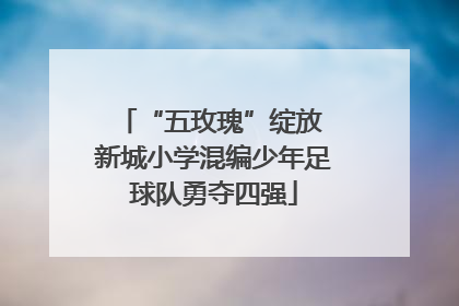 “五玫瑰”绽放 新城小学混编少年足球队勇夺四强