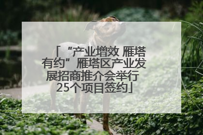 “产业增效 雁塔有约”雁塔区产业发展招商推介会举行 25个项目签约