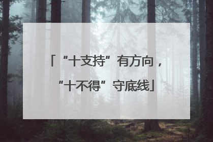 “十支持”有方向，“十不得”守底线