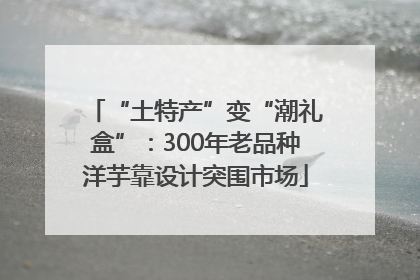 “土特产”变“潮礼盒”：300年老品种洋芋靠设计突围市场