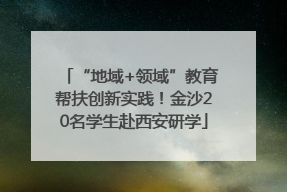 “地域+领域”教育帮扶创新实践！金沙20名学生赴西安研学