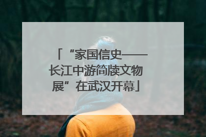 “家国信史——长江中游简牍文物展”在武汉开幕