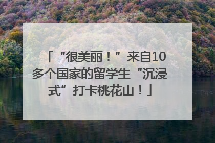 “很美丽！”来自10多个国家的留学生“沉浸式”打卡桃花山！
