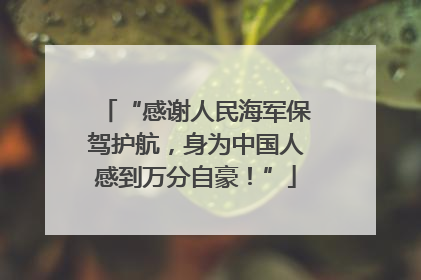 “感谢人民海军保驾护航，身为中国人感到万分自豪！”