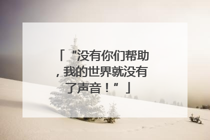 “没有你们帮助，我的世界就没有了声音！”