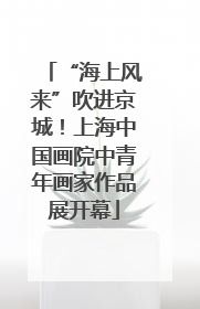 “海上风来”吹进京城！上海中国画院中青年画家作品展开幕