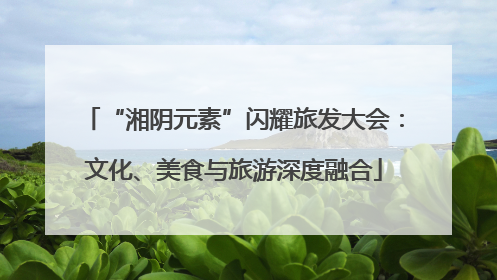 “湘阴元素”闪耀旅发大会：文化、美食与旅游深度融合
