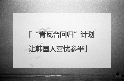 “青瓦台回归”计划让韩国人喜忧参半