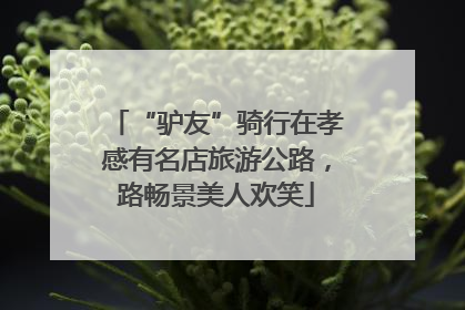 “驴友”骑行在孝感有名店旅游公路，路畅景美人欢笑