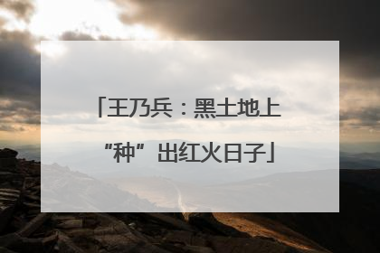 王乃兵：黑土地上“种”出红火日子