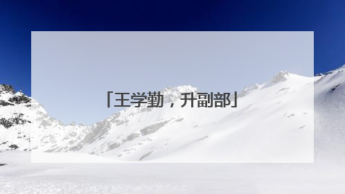 王学勤，升副部