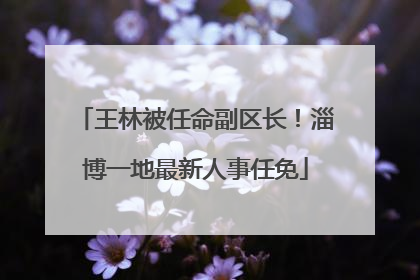 王林被任命副区长！淄博一地最新人事任免