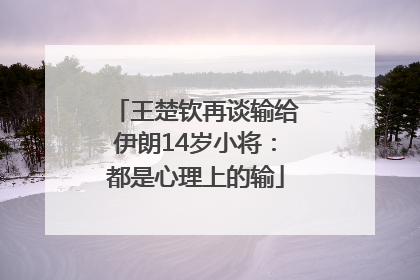 王楚钦再谈输给伊朗14岁小将：都是心理上的输
