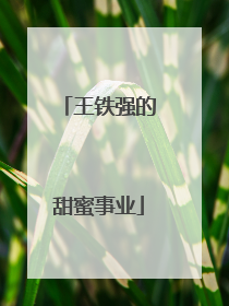 王铁强的甜蜜事业