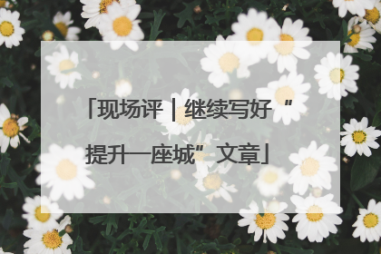 现场评｜继续写好“提升一座城”文章