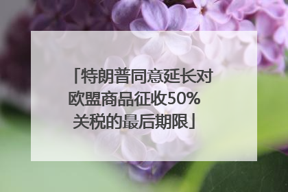 特朗普同意延长对欧盟商品征收50%关税的最后期限
