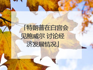 特朗普在白宫会见鲍威尔 讨论经济发展情况