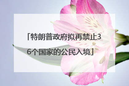 特朗普政府拟再禁止36个国家的公民入境