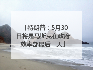 特朗普：5月30日将是马斯克在政府效率部最后一天