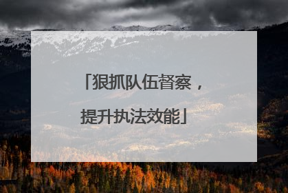 狠抓队伍督察，提升执法效能