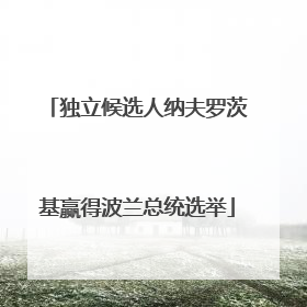独立候选人纳夫罗茨基赢得波兰总统选举