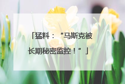 猛料：“马斯克被长期秘密监控！”
