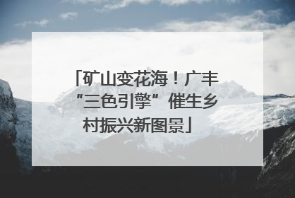 矿山变花海！广丰“三色引擎”催生乡村振兴新图景