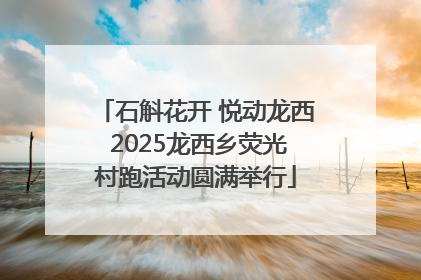 石斛花开 悦动龙西 2025龙西乡荧光村跑活动圆满举行