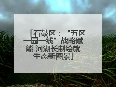 石鼓区：“五区一园一线”战略赋能 河湖长制绘就生态新图景