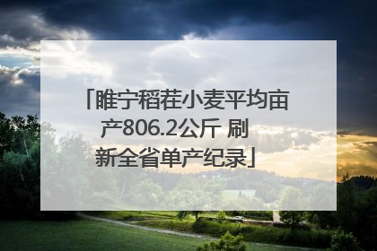 睢宁稻茬小麦平均亩产806.2公斤 刷新全省单产纪录