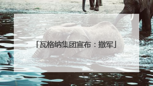 瓦格纳集团宣布：撤军